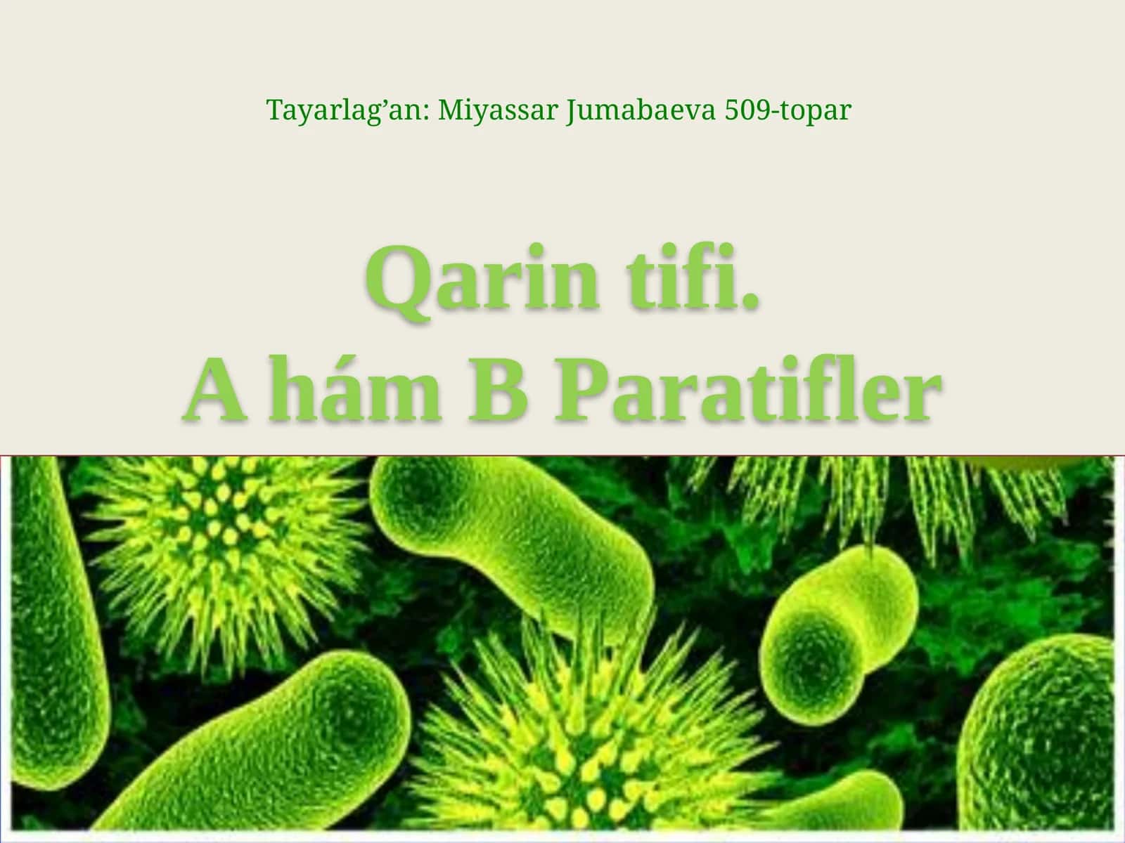 Qarintifi.A hám BParatifler 1