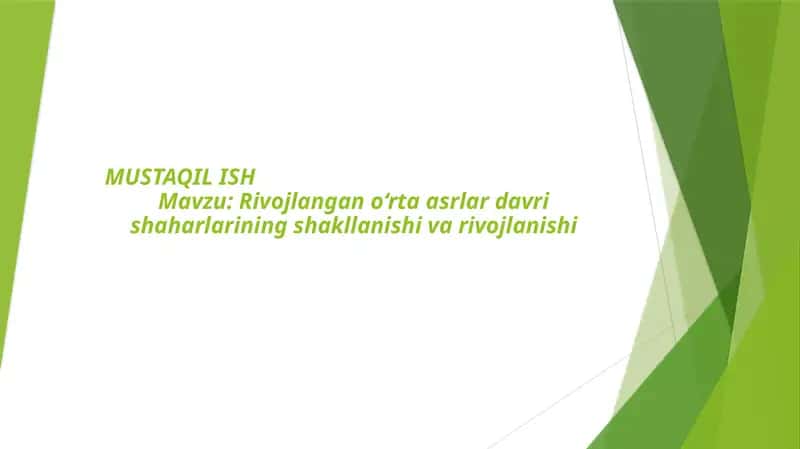 MUSTAQIL ISH 1