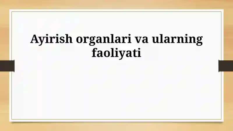 Siydik ajratish organlari va ularning faoliyati