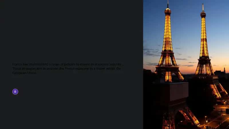 France's Economic Policies 1