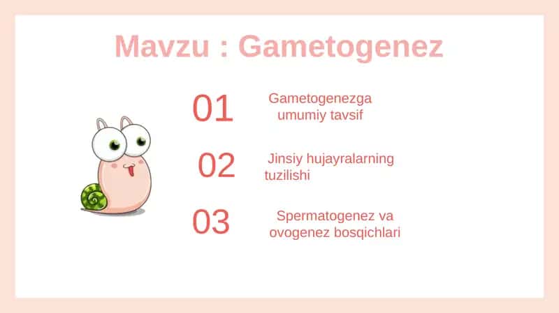 Taqdimot 1