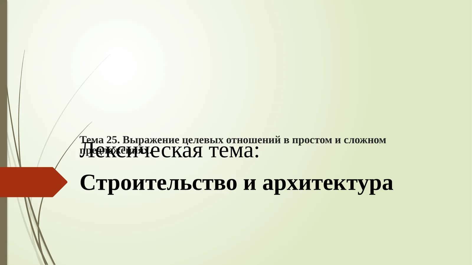 Выражение целевых отношений в простом и сложном предложениях 1