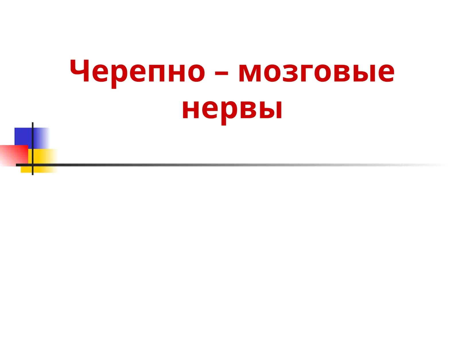 Черепно – мозговые нервы 1