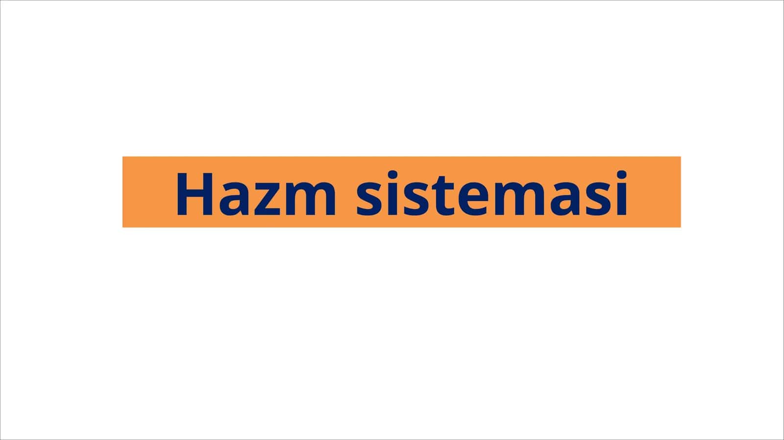 Hazmsistemasi 1