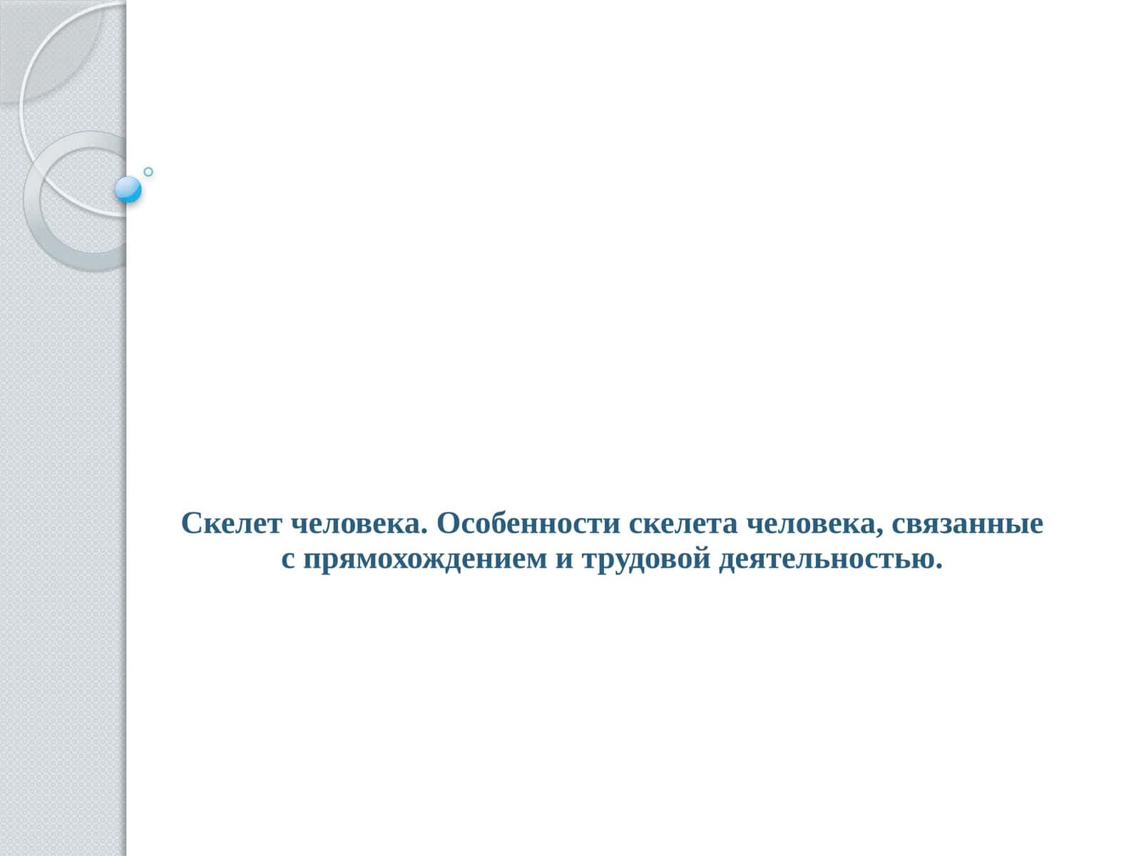 Скелет человека 1