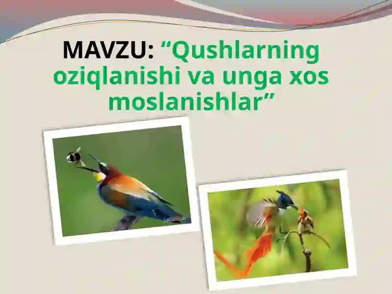 Qushlarning oziqlanishi va unga xos moslanishlar