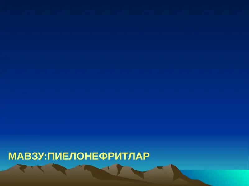 Пиелонефритлар 1