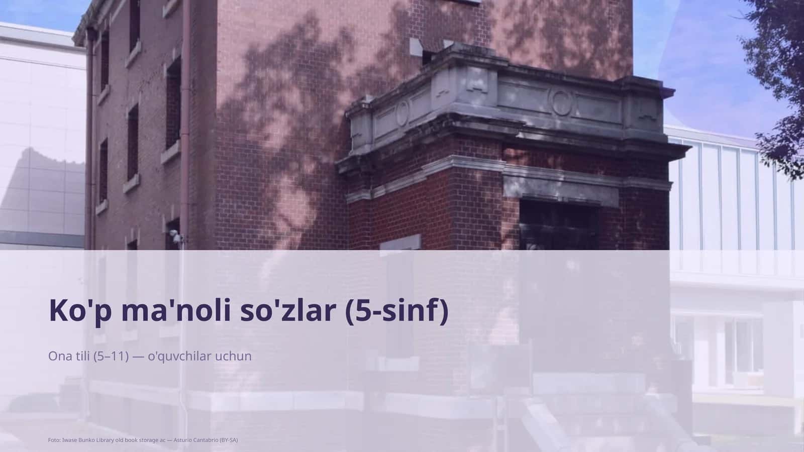 Ko'p ma'noli so'zlar (5-sinf) 1