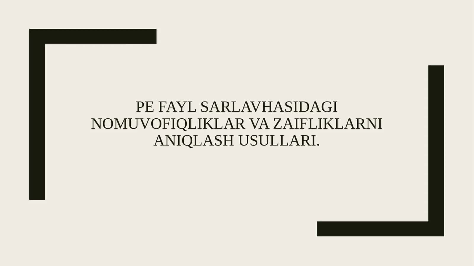 PE fayl sarlavhasidagi nomuvofiqliklar va zaifliklarni aniqlash usullari. 1