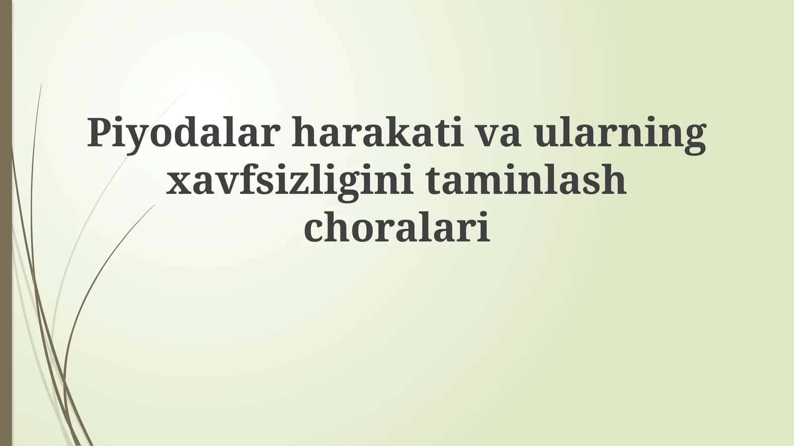 Piyodalar harakati: Tushuncha va ahamiyat 1