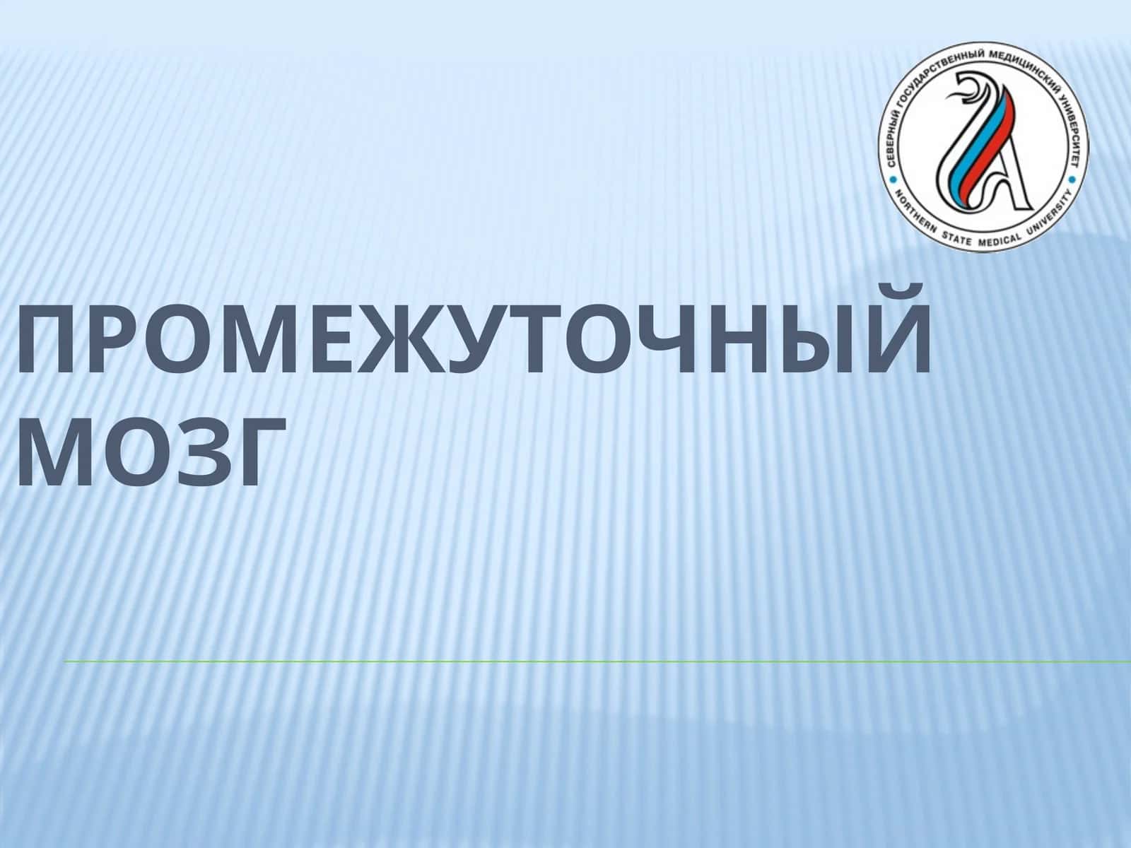 Анатомия промежуточного мозга 1