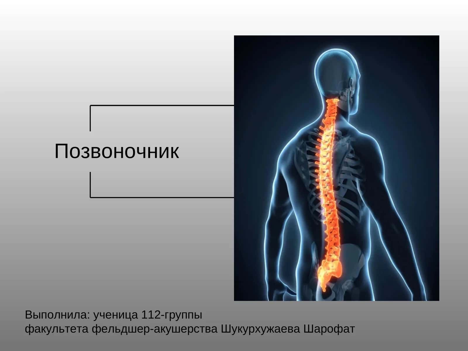Позвоночник 1