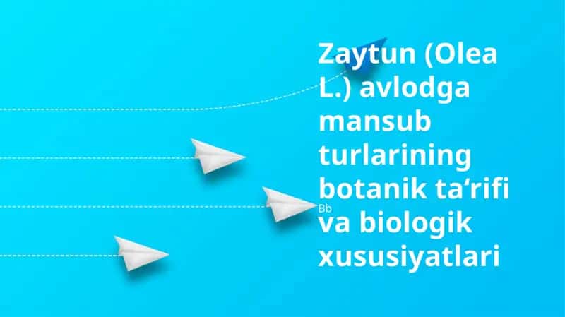 Zaytun (Olea L.) 1