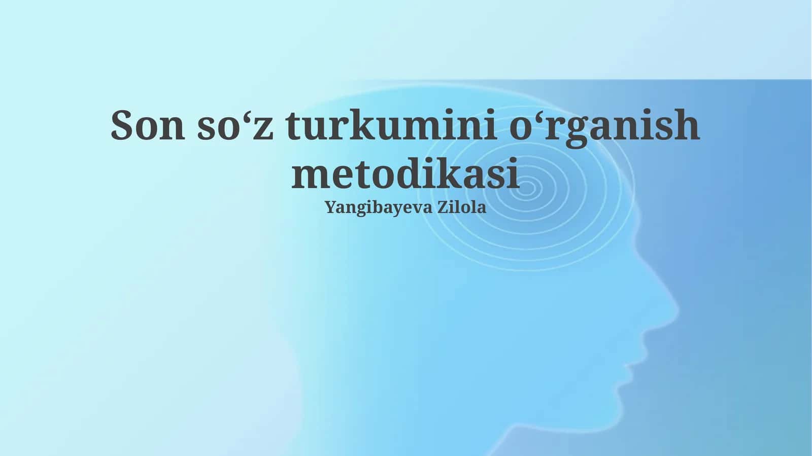 Son soʻz turkumini oʻrganish metodikasi 1