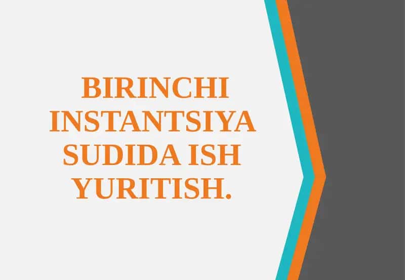 BIRINCHI INSTANTSIYA SUDIDA ISH YURITISH 1