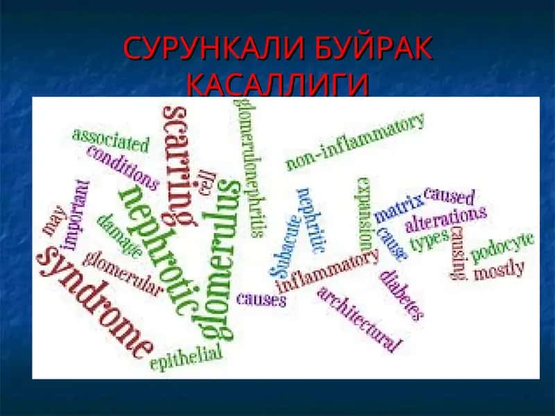 СУРУНКАЛИ БУЙРАК КАСАЛЛИГИ 1