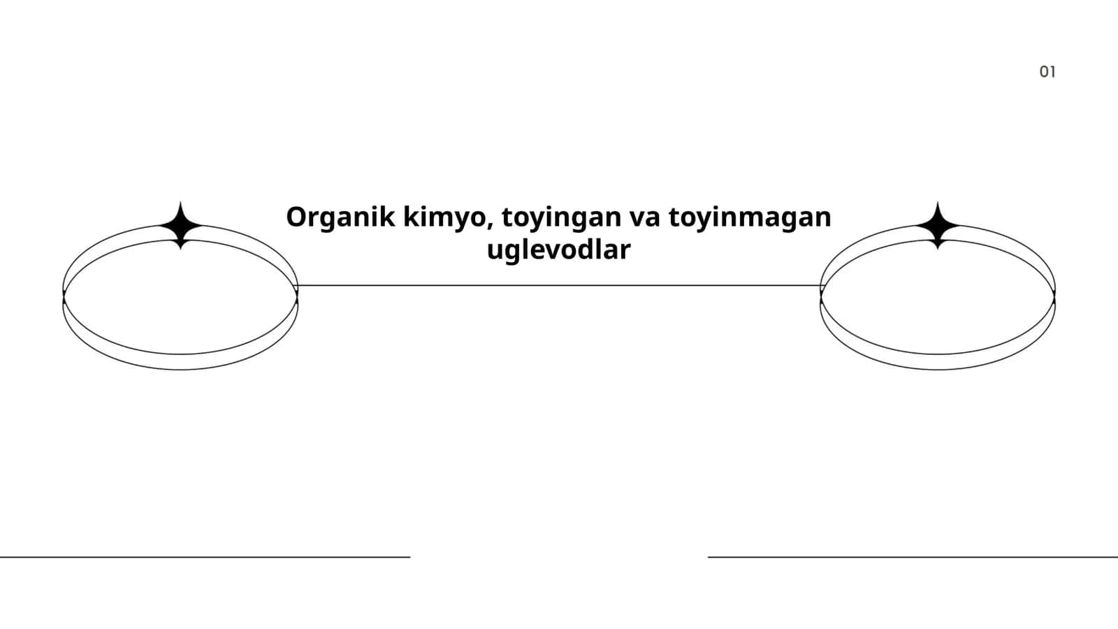 Organik kimyo, toyingan va toyinmagan uglevodlar 1