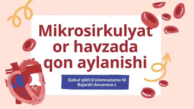 mikrosirkulyator havzada qon aylanishi 1
