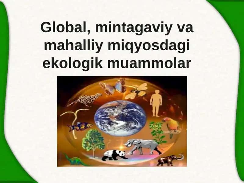 Global Ekologik Muammolar 1