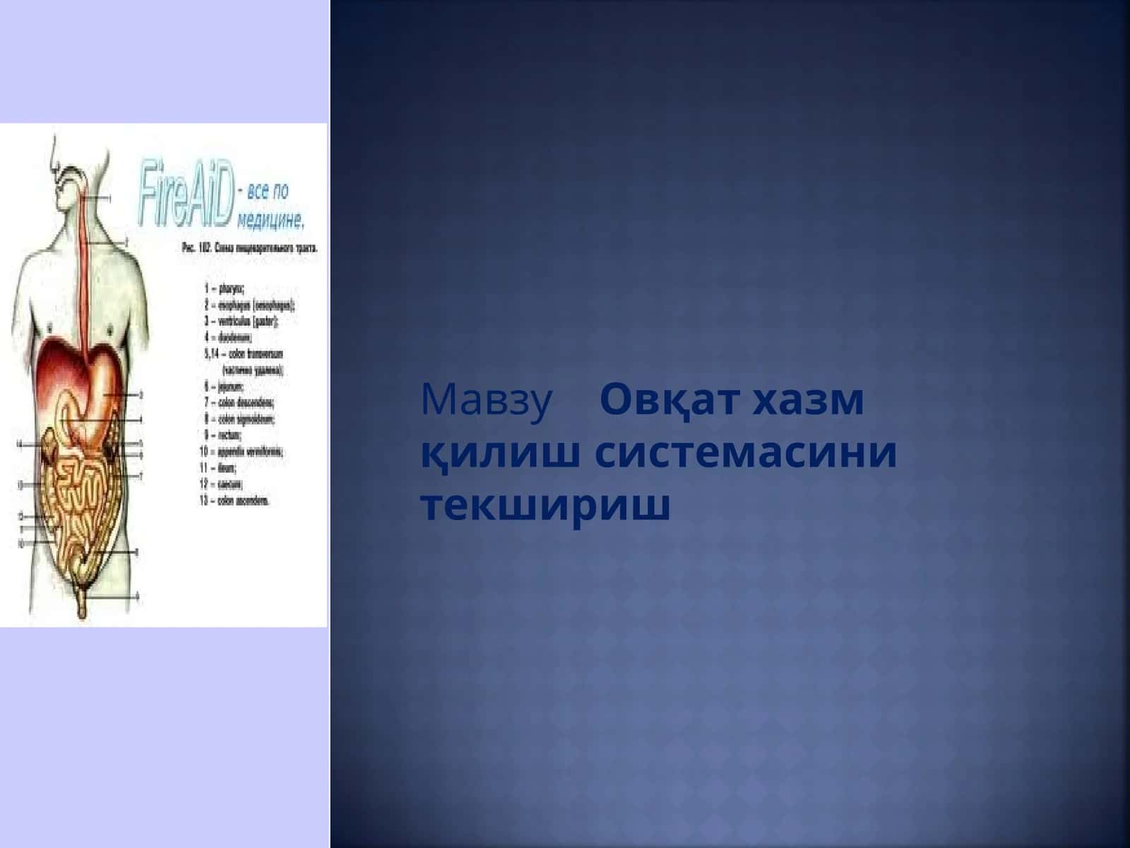 Овқат хазм қилиш системасини текшириш 1