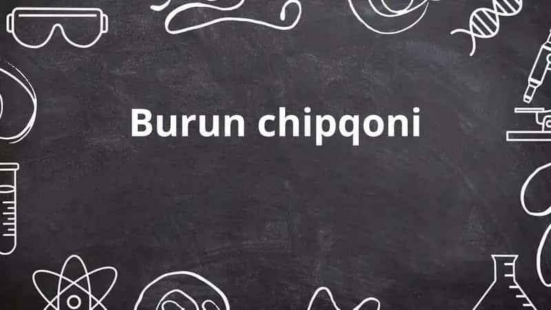 Burun chipqoni 1