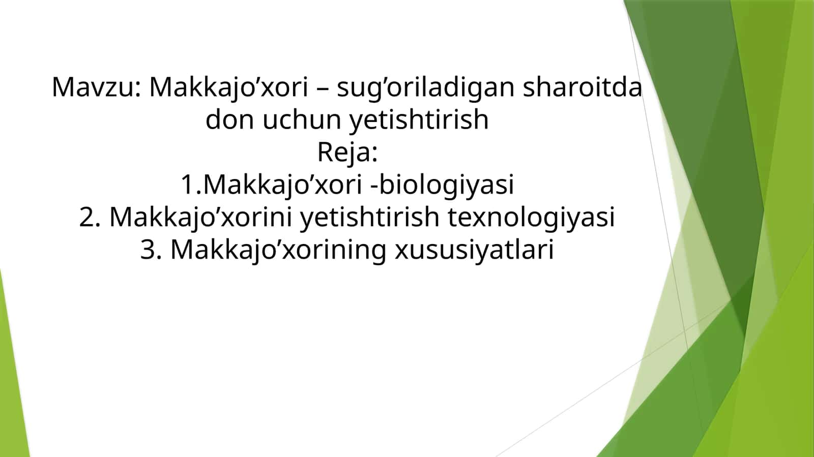 Makkajo’xori–sug’oriladigansharoitdadonuchunyetishtirish 1