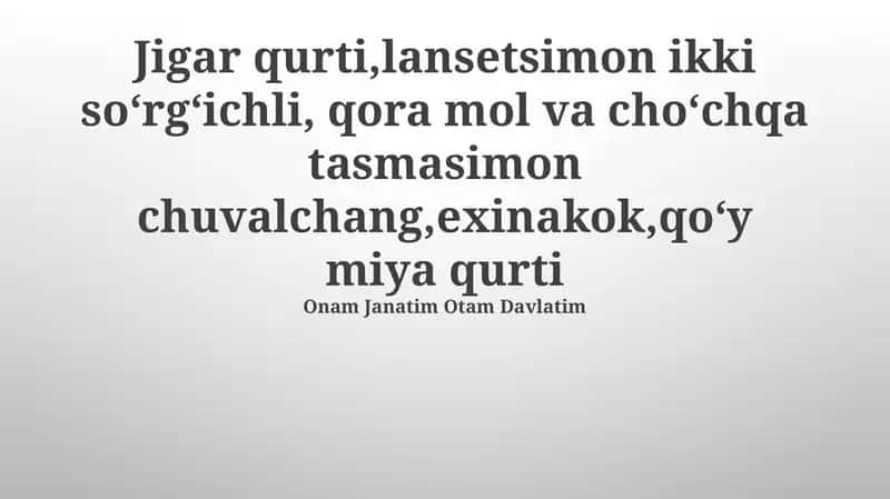 Oʻpka qurti 1