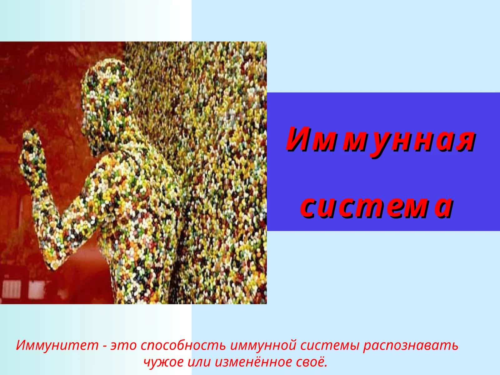 Иммунная система 1
