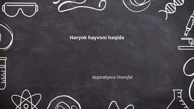 Haryok hayvoni haqida 1