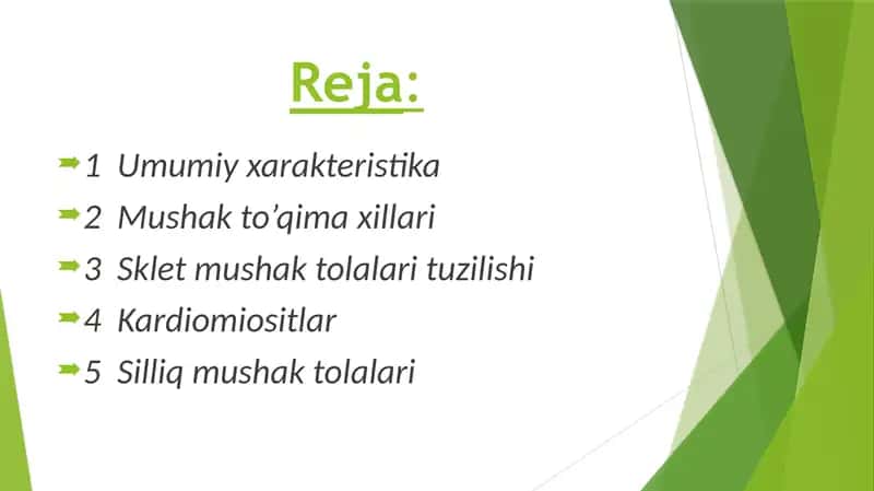 СКЕЛЕТ МУШАК ТЎҚИМАСИНИНГ ТУЗИЛИШИ 1