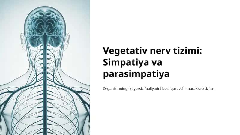 Vegetativ nerv tizimi 1