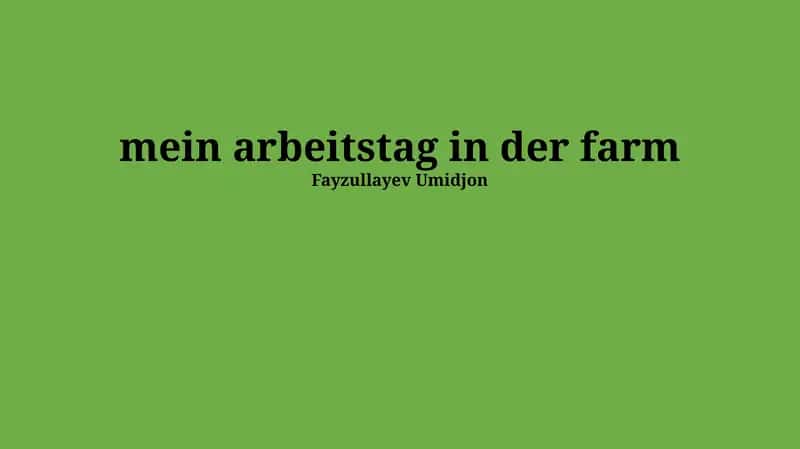 Mein Arbeitstag in der Farm 1
