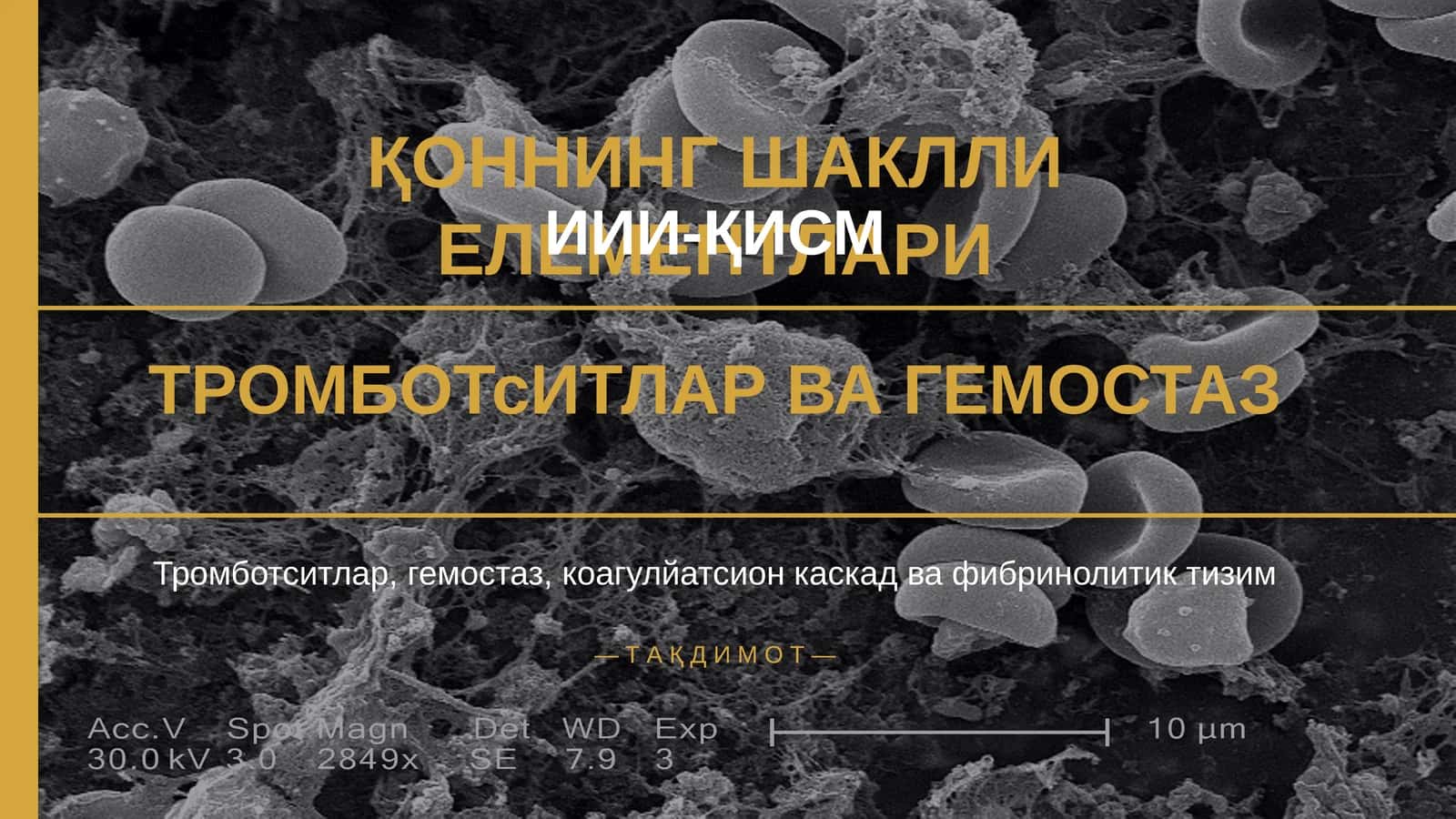 ТРОМБОТсИТЛАР ВА ГЕМОСТАЗ 1