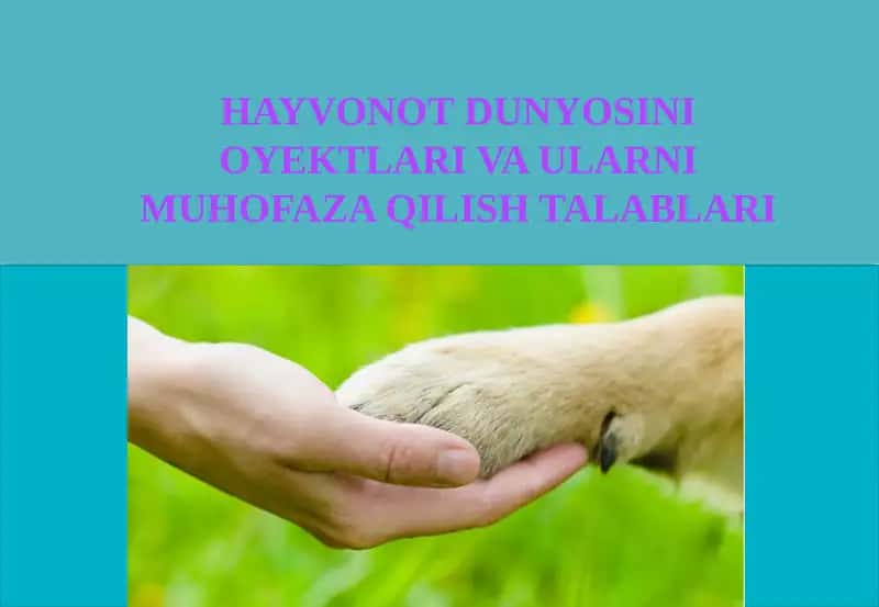 HAYVONOT DUNYOSINI OYEKTLARIVA ULARNI MUHOFAZA QILISH TALABLARI 1