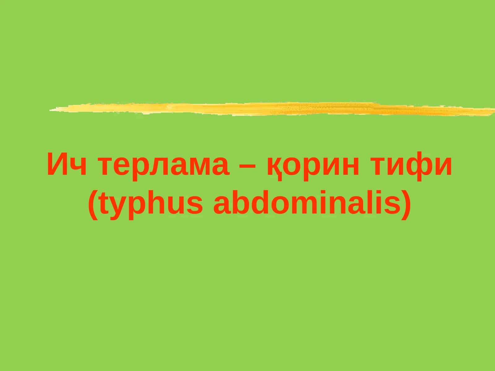Ичтерлама–қорин тифи (typhus abdominalis) 1