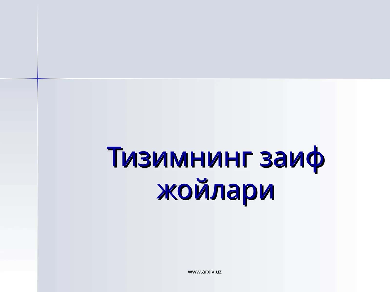 Тизимнинг заиф жойлари 1