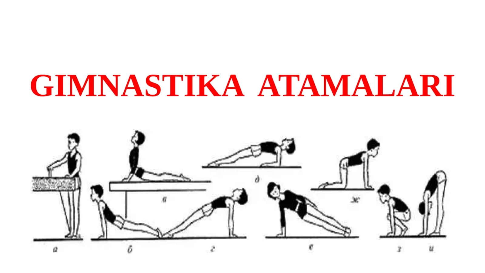 GIMNASTIKA ATAMALARI 1