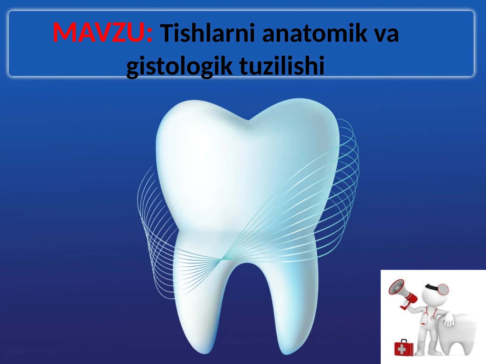 Tishlarni anatomik va gistologik tuzilishi 1