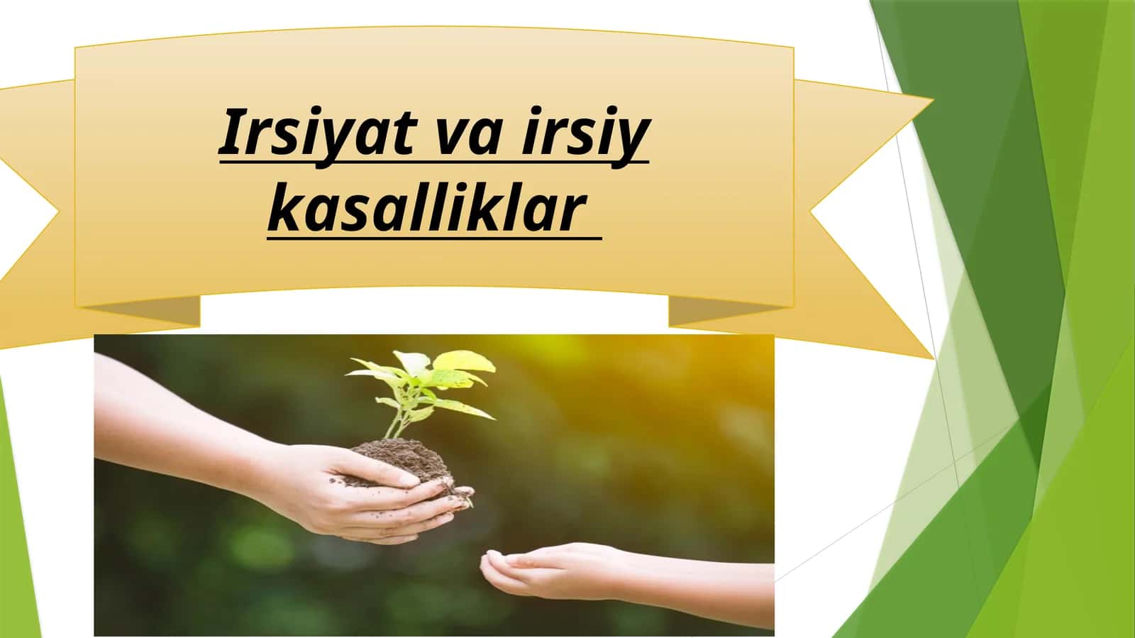 Irsiyat va irsiy kasalliklar 1