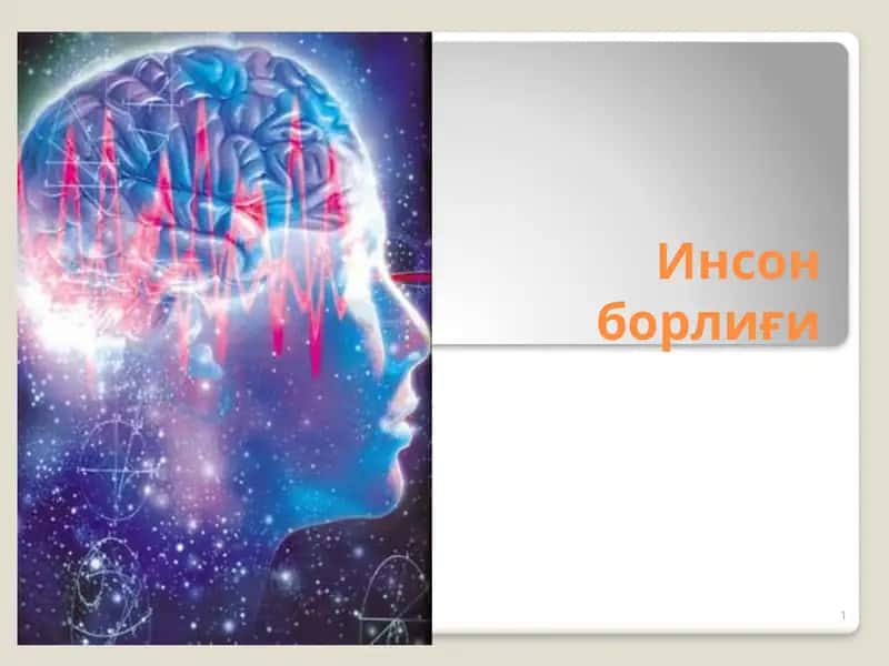 Инсон борлиғи 1