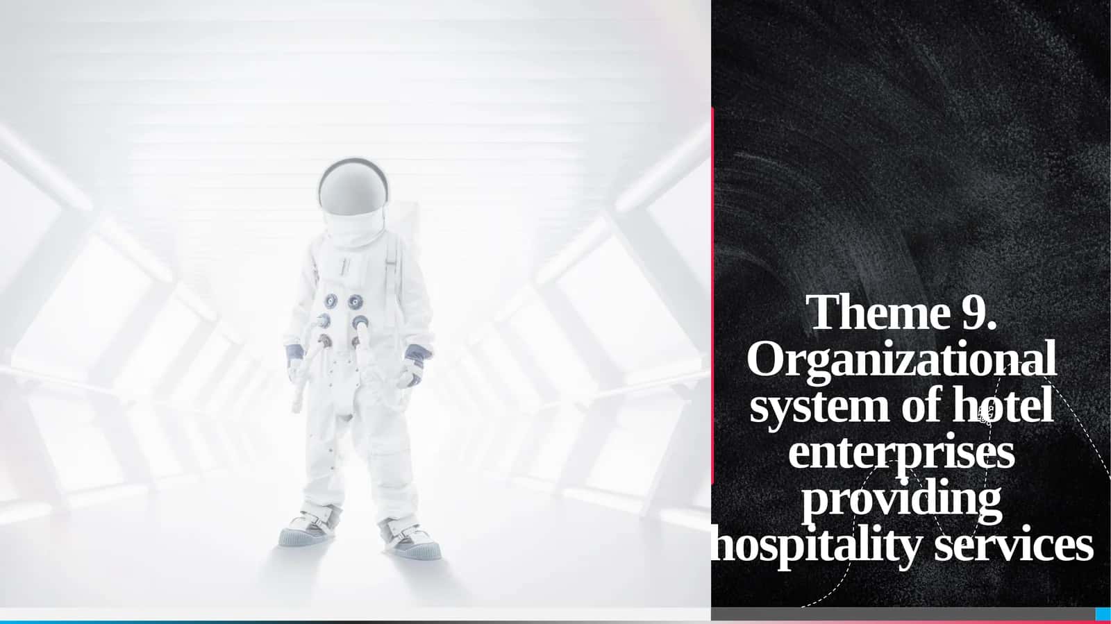 Theme9. Organizational system of hotel enterprises providing hospitality services 1
