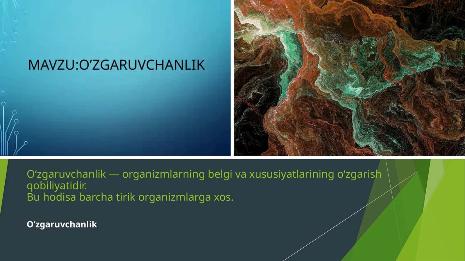 O‘zgaruvchanlik 1