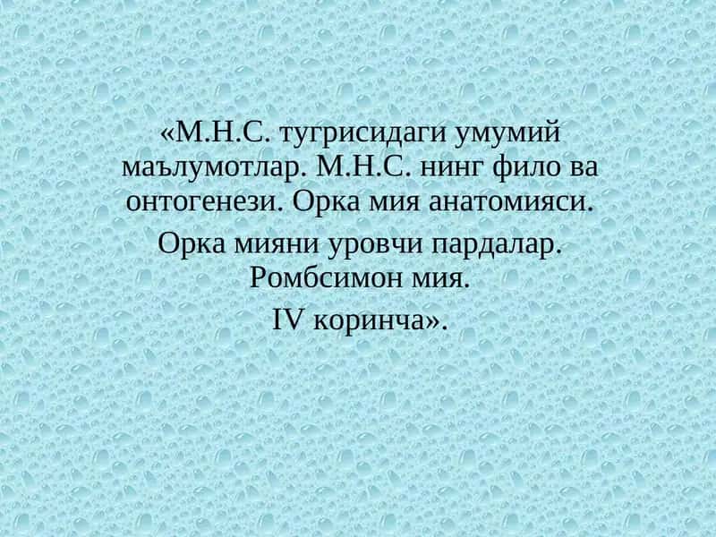 М.Н.С. тугрисидаги умумий маълумотлар 1