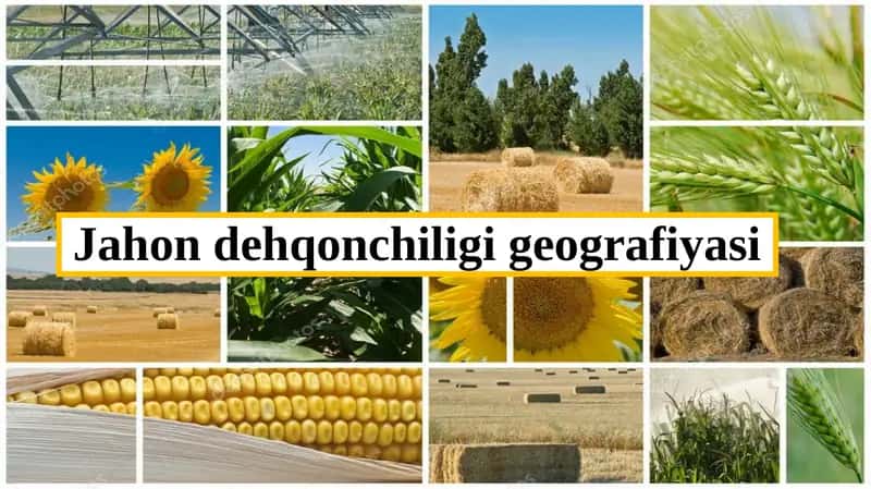 Jahon dehqonchiligi geografiyasi 1