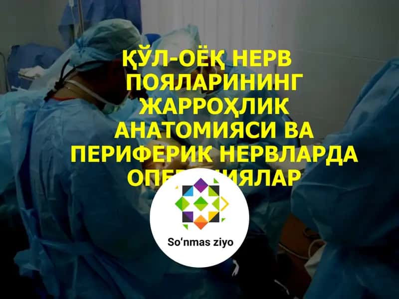 Нерв системаси анатомияси ва операциялар 1
