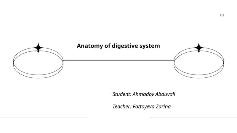 Anatomy of digestive system 1