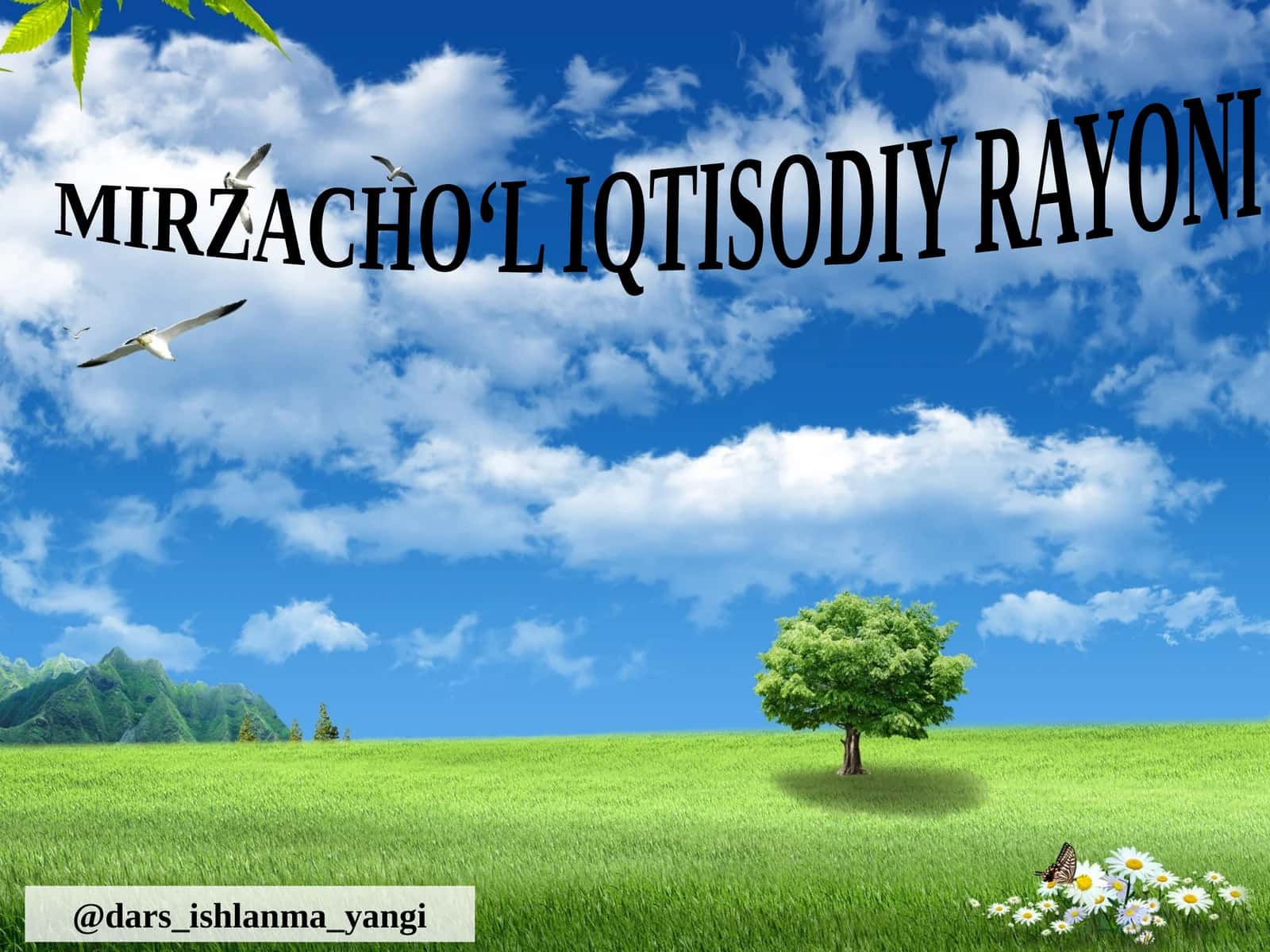 MIRZACHO‘L IQTISODIY RAYONI 1