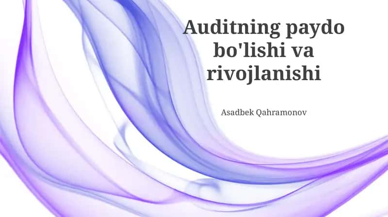 Zamonaviy Audit Texnologiyalari va Standartlari 1