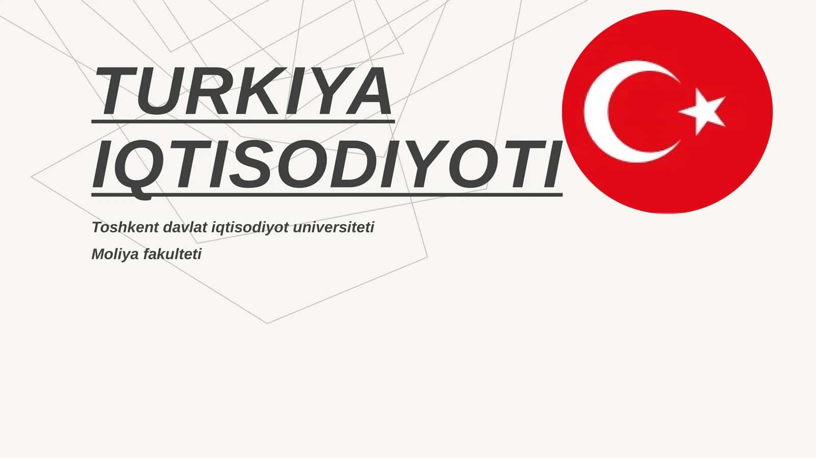 Turkiya davlati iqtisodiyoti 1