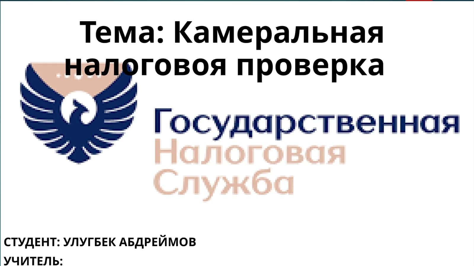 Камеральная налоговая проверка 1